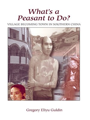 cover image of What's a Peasant to Do? Village Becoming Town In Southern China